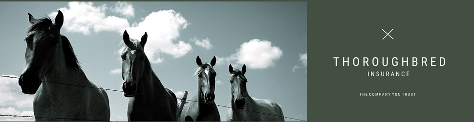 بنرات الموقع